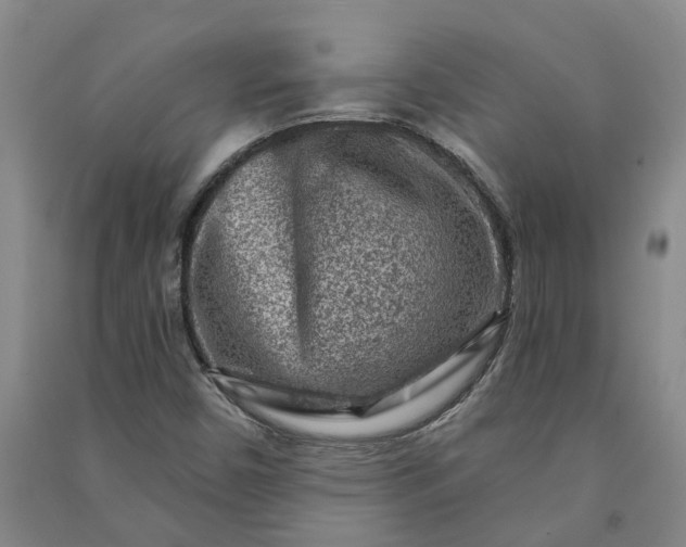 X0000090951450200708161746