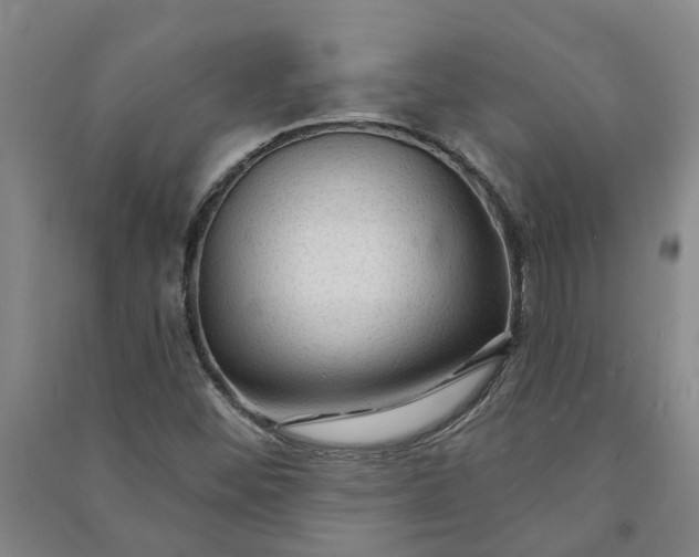 X0000090951452200708161746