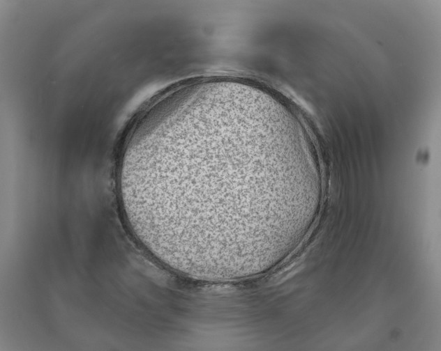 X0000090951454200708161746