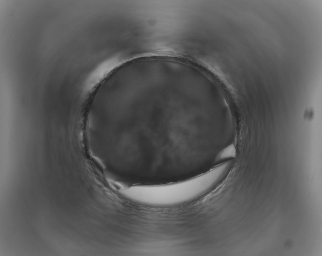 X0000090951455200708161746