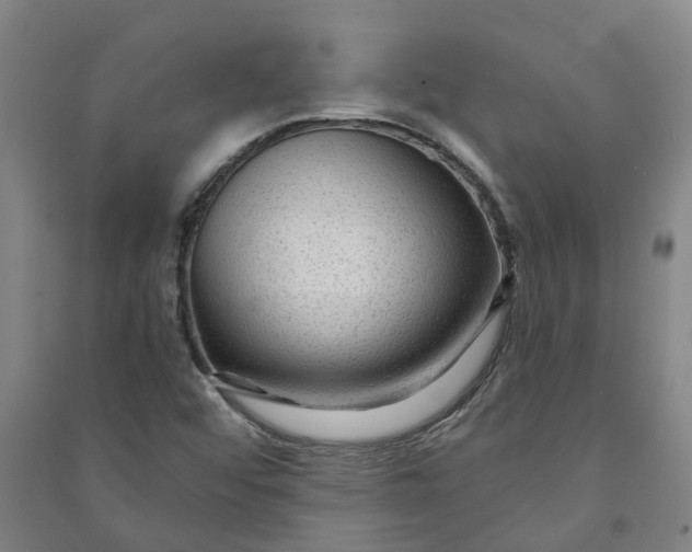 X0000090951456200708161746
