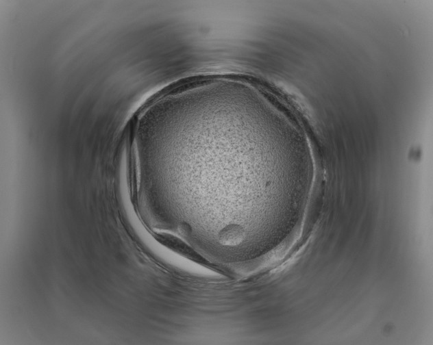 X0000090951457200708161746