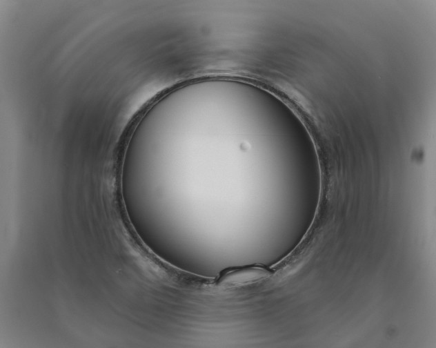 X0000090951458200708161746