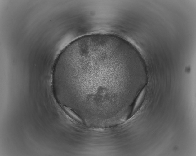 X0000090951459200708161746