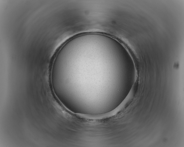 X0000090951460200708161746