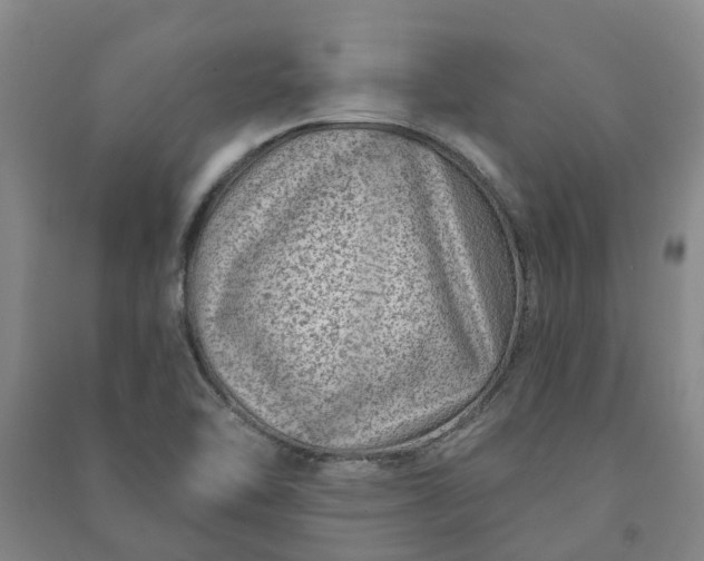 X0000090951462200708161746