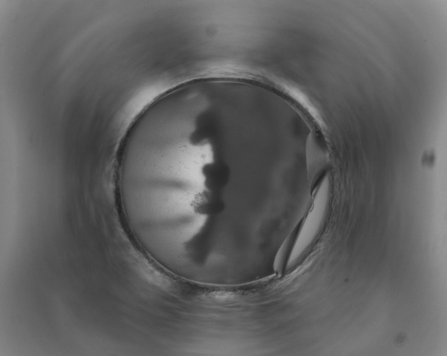 X0000090951463200708161746