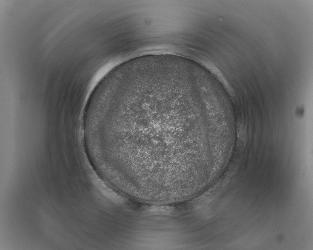 X0000090951466200708161746