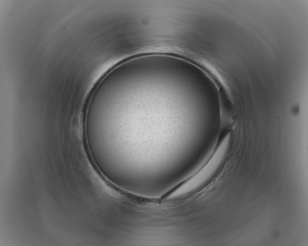 X0000090951468200708161746