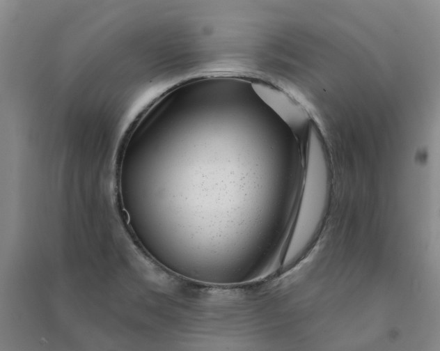 X0000090951469200708161746