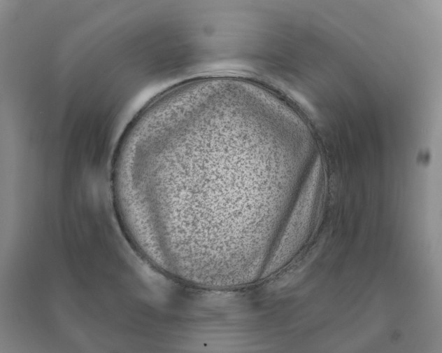 X0000090951470200708161746