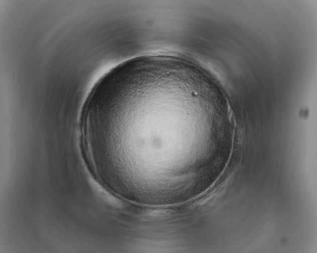 X0000090951471200708161746