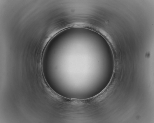 X0000090951473200708161746