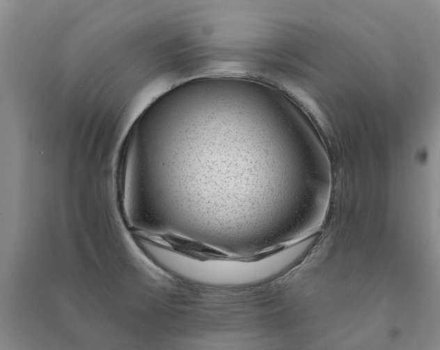 X0000090951475200708161746