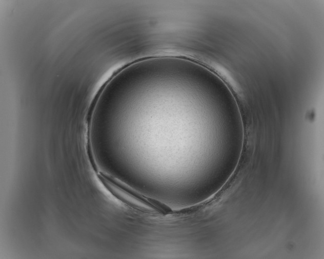 X0000090951476200708161746