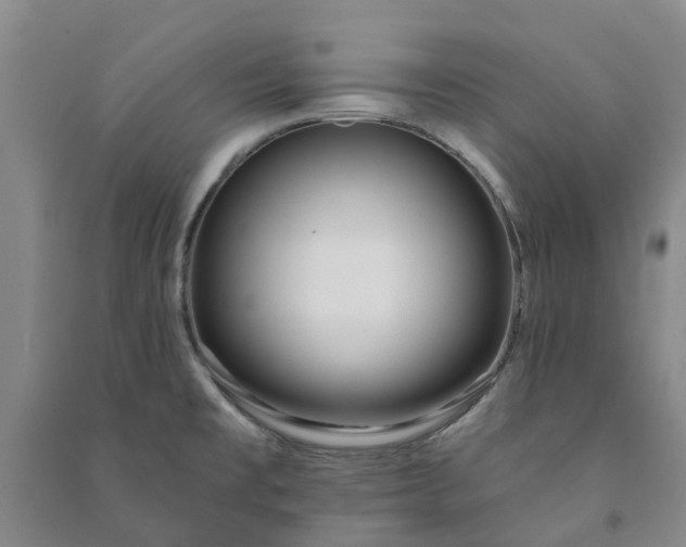 X0000090951477200708161746