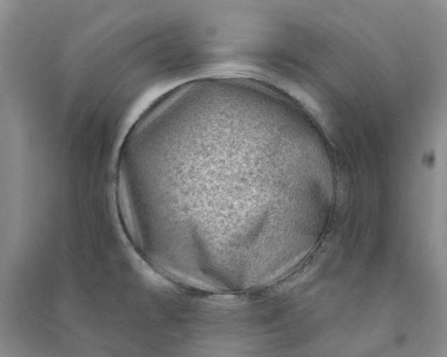 X0000090951478200708161746