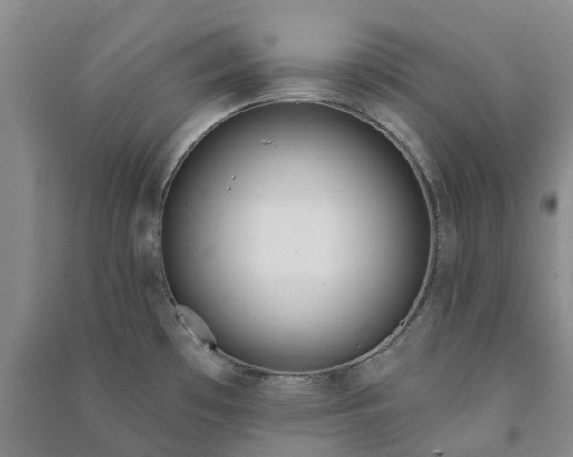 X0000090951481200708161746