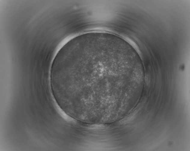 X0000090951482200708161746