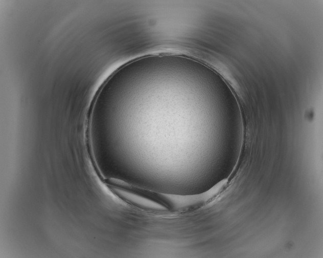 X0000090951484200708161746