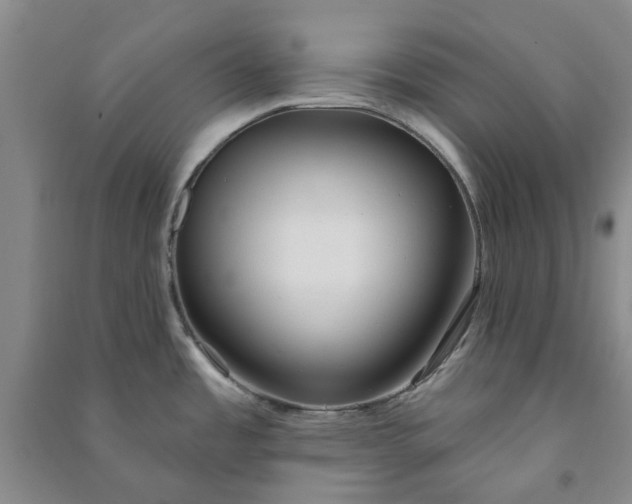 X0000090951485200708161746