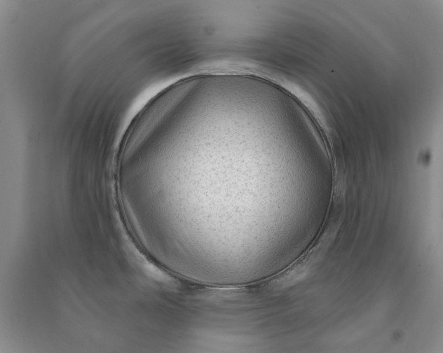 X0000090951486200708161746