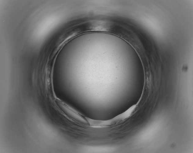 X0000090951487200708161746
