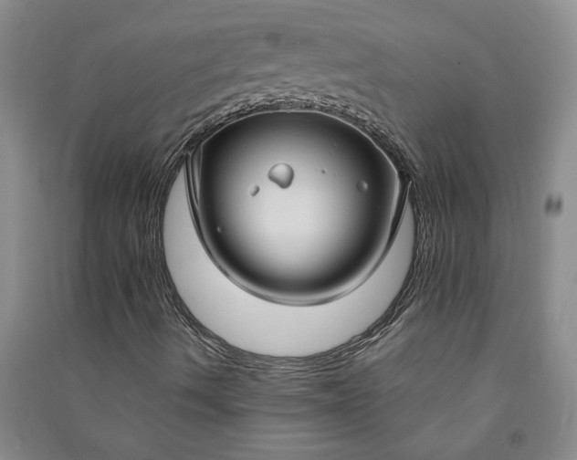 X0000090951490200708161745