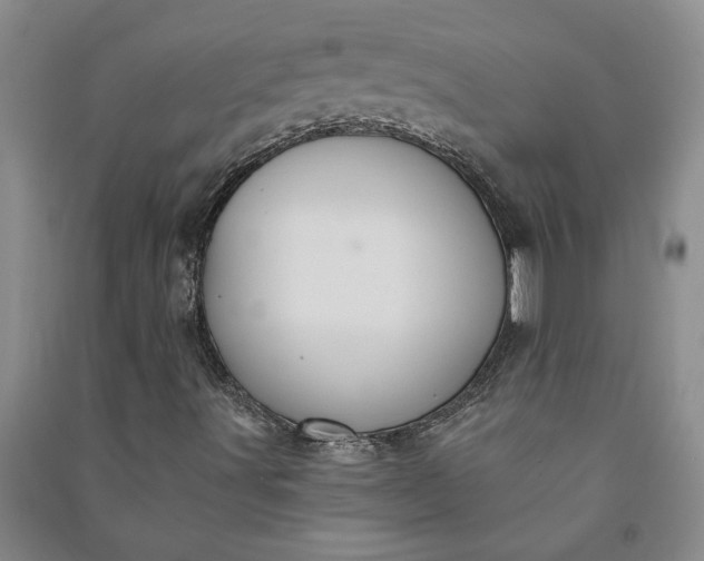 X0000090951491200708161745