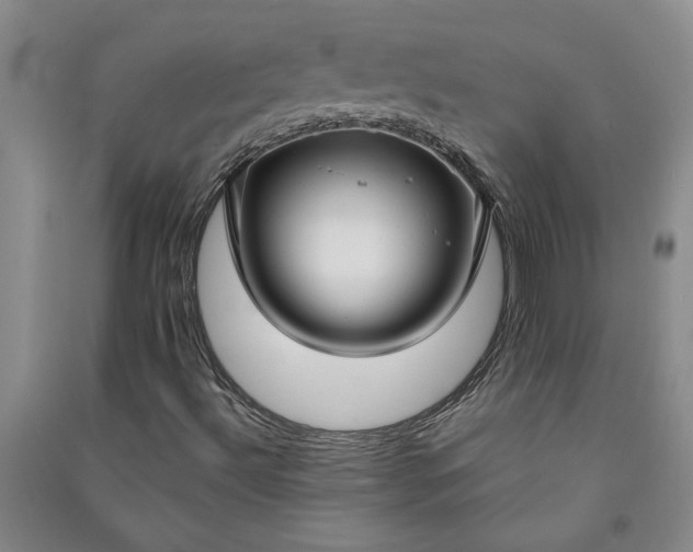 X0000090951492200708161745