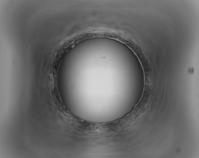 X0000090951493200708161745