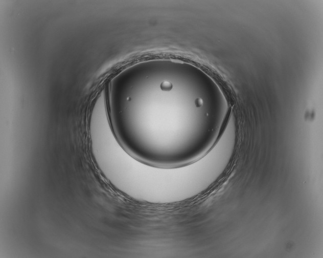 X0000090951494200708161745