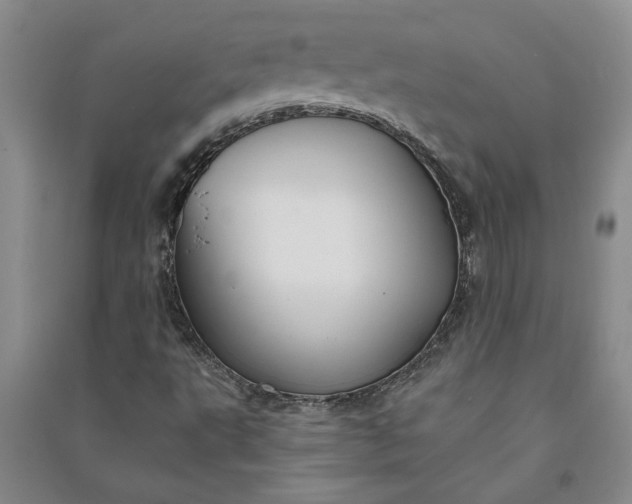 X0000090951495200708161745
