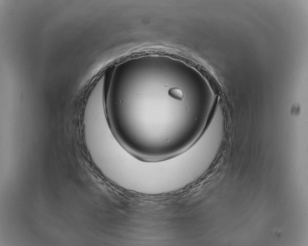 X0000090951496200708161745