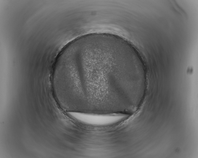 X0000090951497200708161745