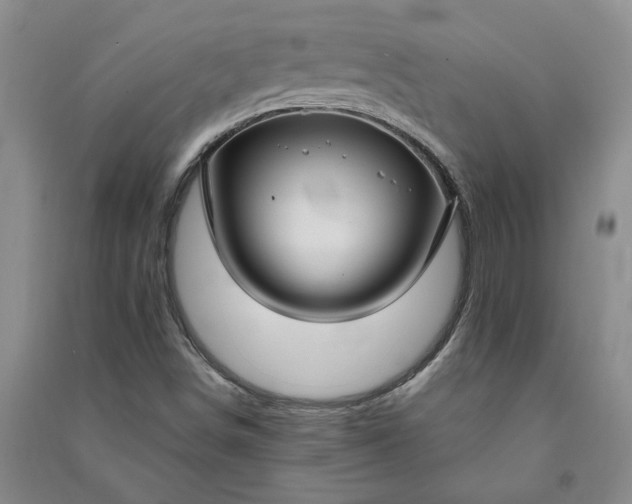 X0000090951498200708161745