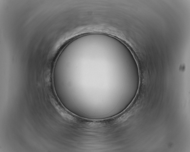 X0000090951499200708161745