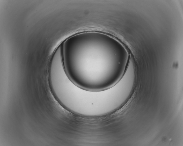 X0000090951500200708161745