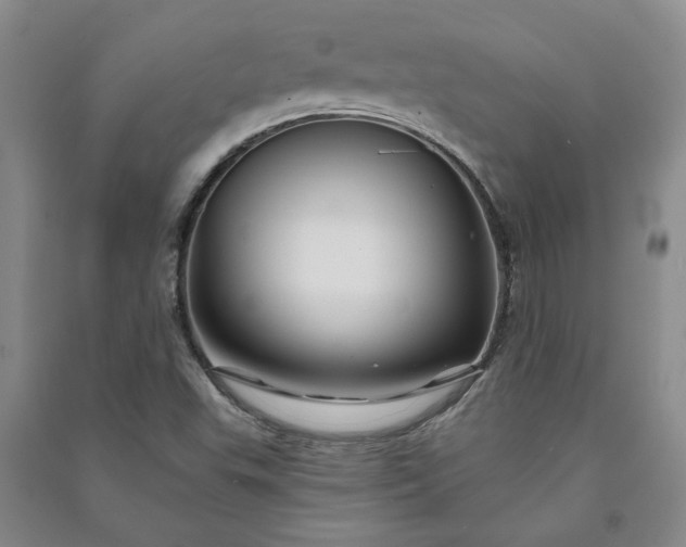 X0000090951503200708161746