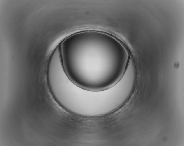 X0000090951504200708161746