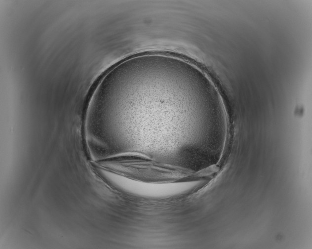 X0000090951505200708161746