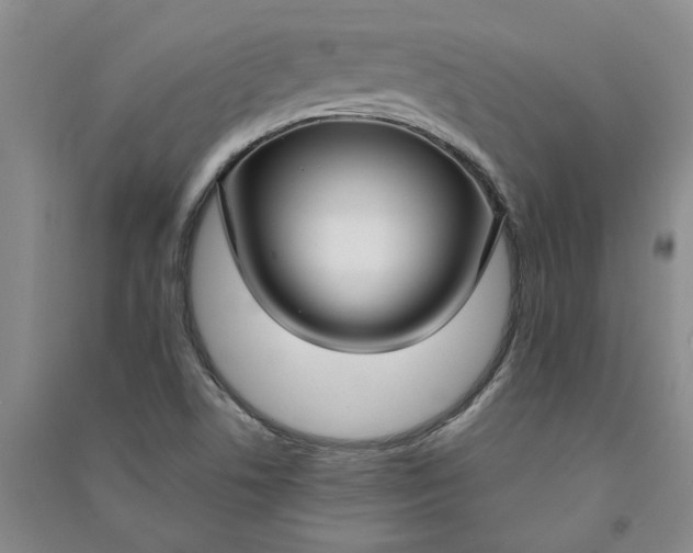 X0000090951506200708161746