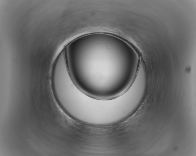 X0000090951508200708161746