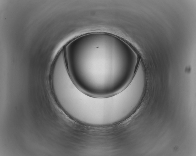 X0000090951510200708161746