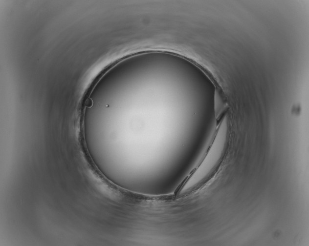 X0000090951511200708161746