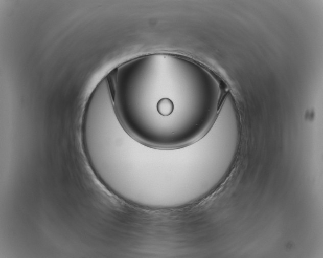 X0000090951512200708161746