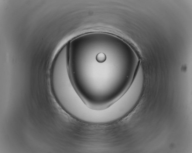 X0000090951514200708161746
