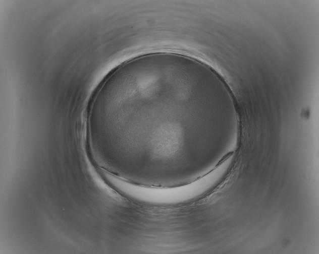 X0000090951515200708161746
