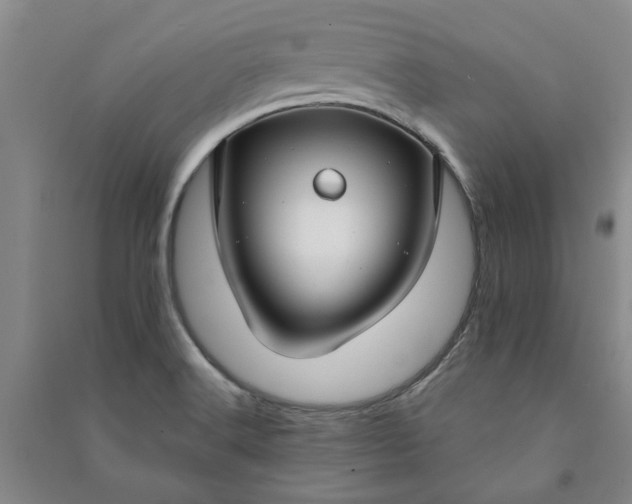 X0000090951516200708161746