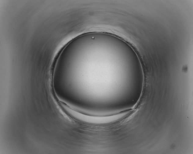 X0000090951517200708161746